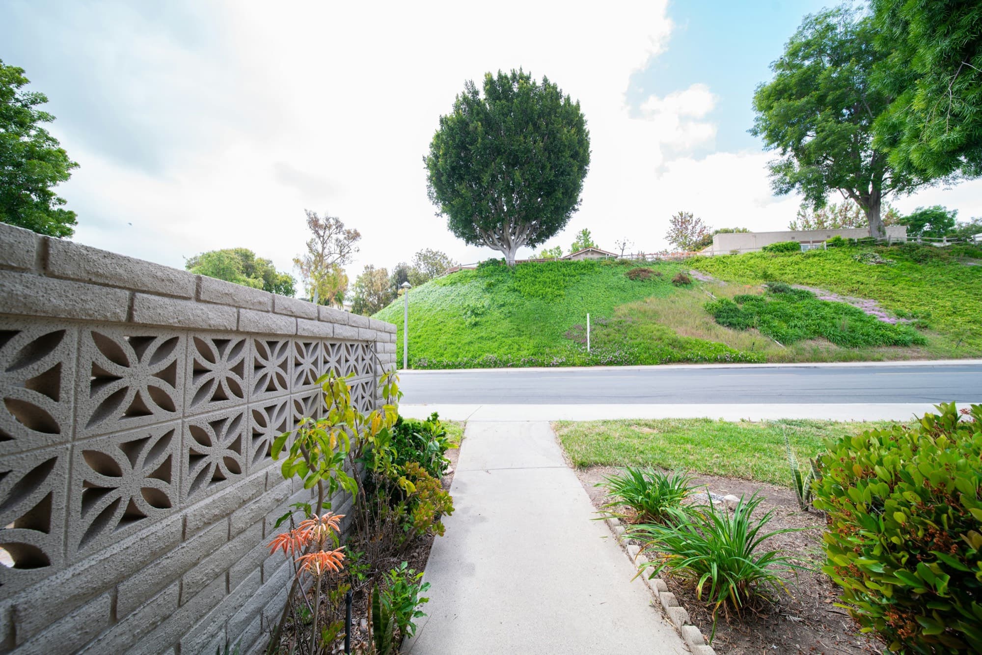 Lush green hillside above a residential road in Laguna Hills, with a decorative breeze-block garden wall in the foreground