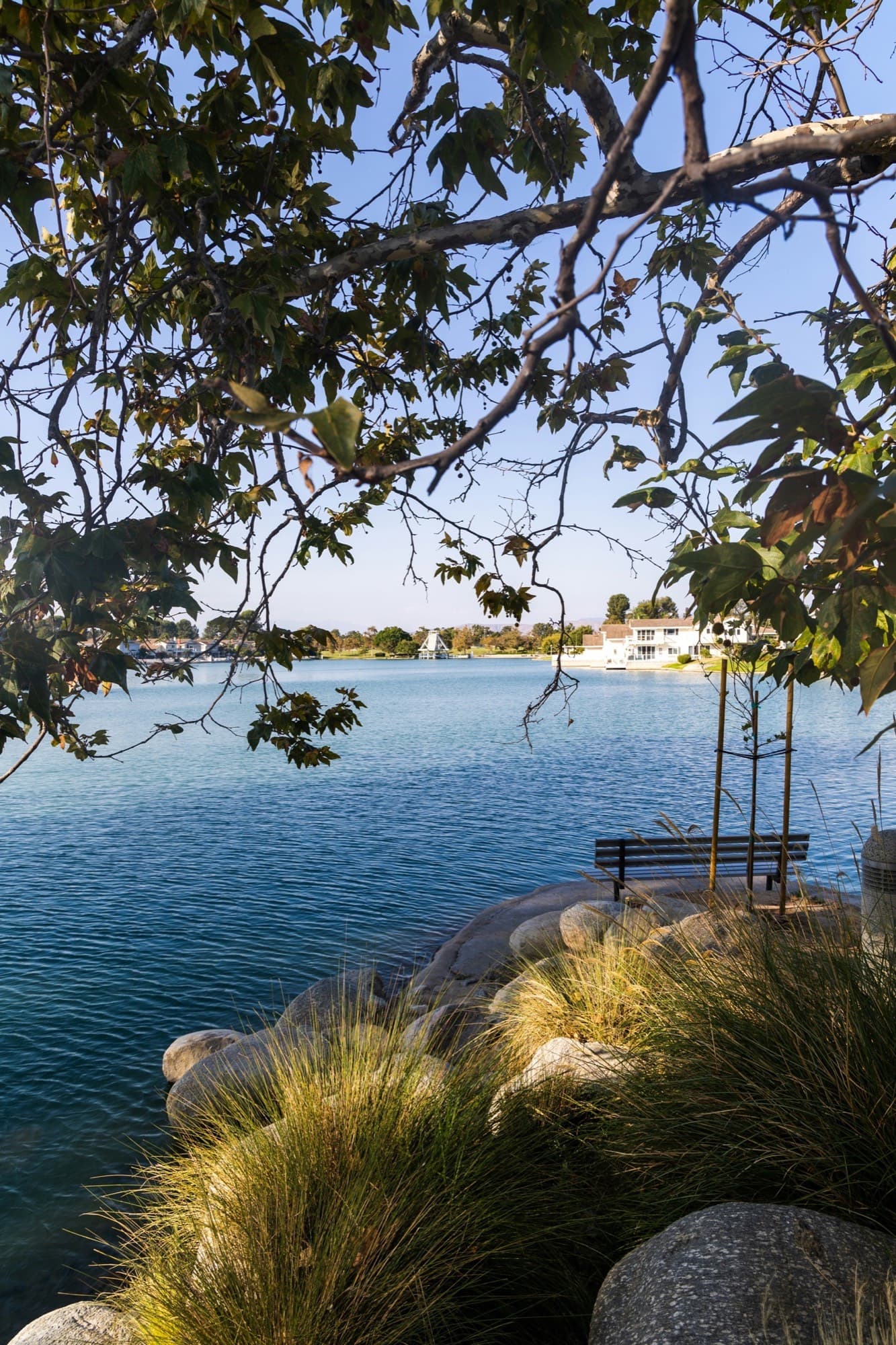 Calm private lake with a waterside bench and homes along the far shore